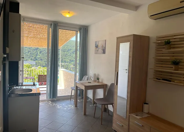 公寓 Studio Apartment