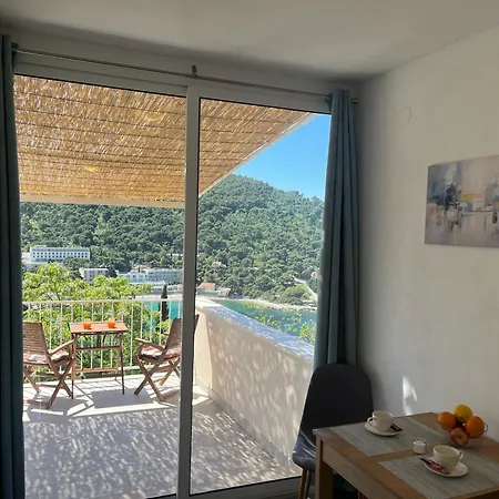 Studio Apartment Ντουμπρόβνικ