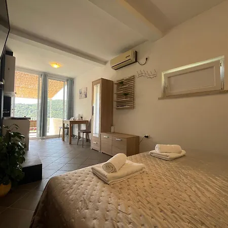 Διαμέρισμα Studio Apartment Ντουμπρόβνικ