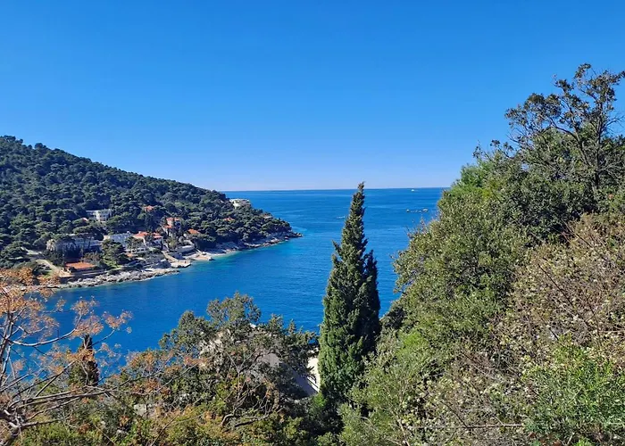 Апартаменты Studio Apartment Дубровник